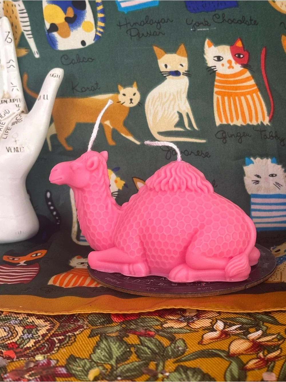 Cosmic camel candle